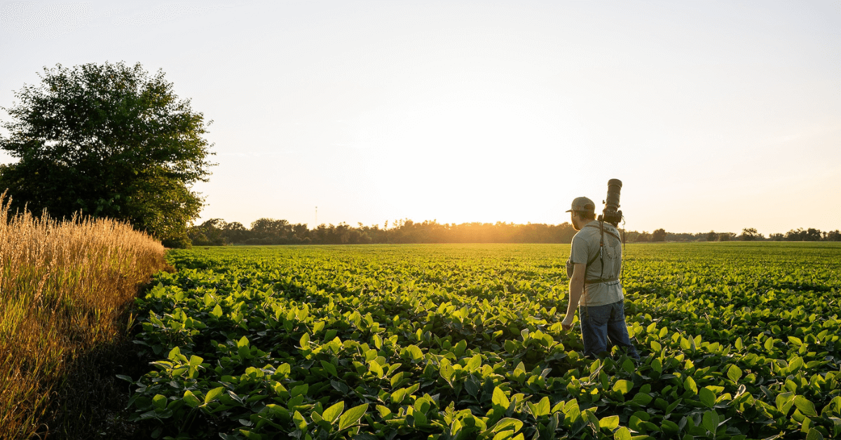 Top 10 Ways to Enjoy Your Land in the Summer